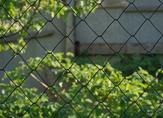  fence of metal wire