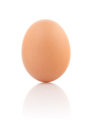 Single Brown Egg