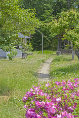 古民家の庭先