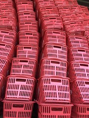 大量の買い物カゴ