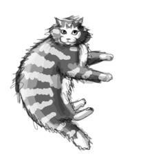 Cute grey cat, sketch for your design