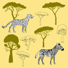 Leopard, zebra and savanna trees