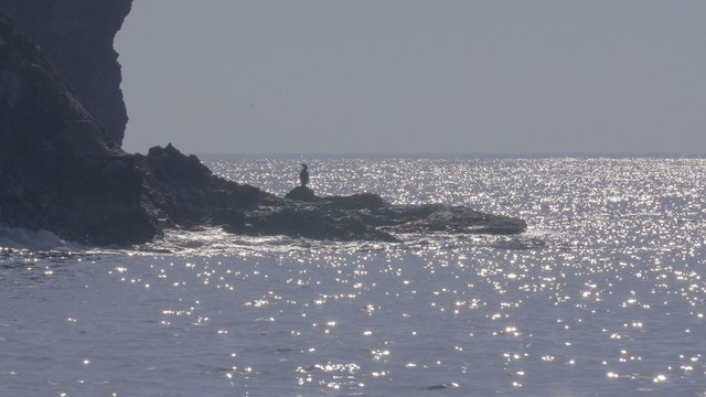 Seabird and Coast in Noto Peninsula,Ishikawa,Japan.Filmed in 4K.