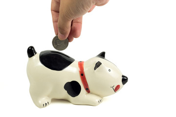 hand save coin in dog bank isolated on white background