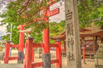 Fototapeta na wymiar 神社の風景/白鬚神社