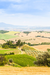 Fototapeta premium Countryside in Tuscany