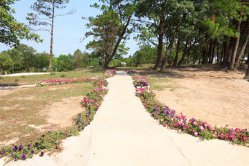 Obraz premium Streets are adorned with beautiful flowers