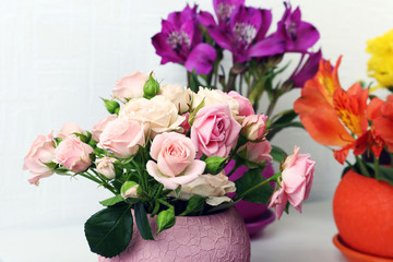 Beautiful flowers in pots on light background