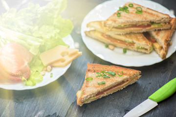 Cheese sandwich