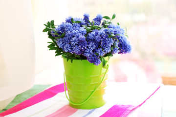 Beautiful bouquet of muscari - hyacinth in metal bucket on windowsill