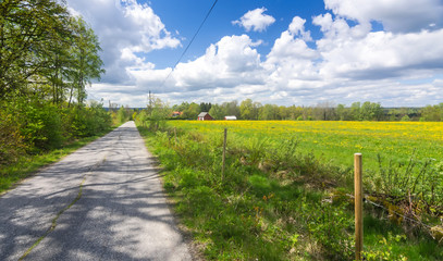 Swedish road through the spring fields