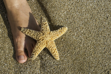 Starfish and feet on the beach