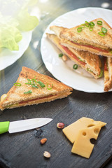Cheese sandwich