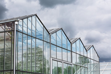 greenhouse against dark cloudy sky
