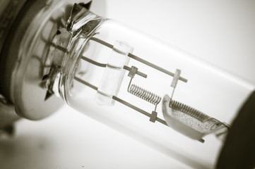 Halogen Auto Bulb