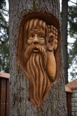 Funny Wooden mask on the fir tree trunk