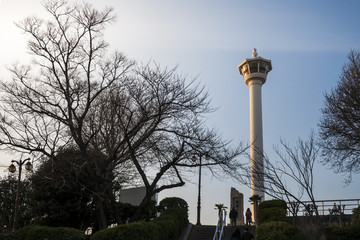 Fototapeta premium Busan tower
