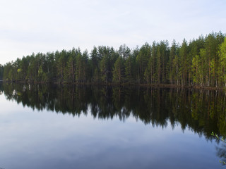 Fototapeta na wymiar Quiet lake at sunset in the Karelian taiga