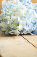 Blue Hydrangea
