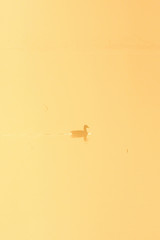 Gosse in morning mist