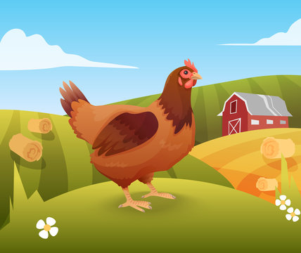 Hen standing on grass with farm on background