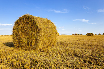 straw stack  