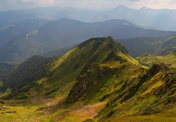 Summer landscape in the mountains.