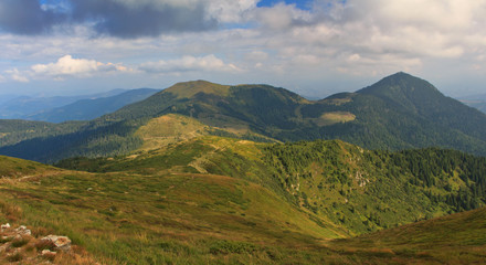 Summer landscape in the mountains.