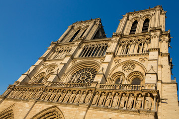 Fototapeta premium Cathédrale de notre-dame de Paris