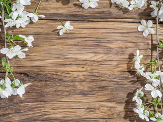 Blooming cherry twig over old wooden table.