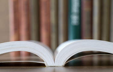Naklejka premium books