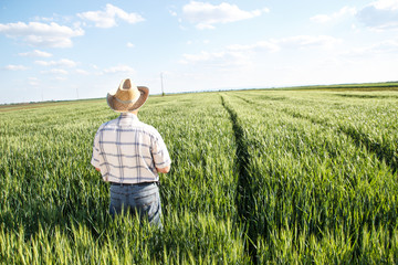 Naklejka na ściany i meble Senior farmer in a field looking into the distance