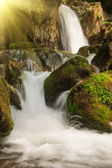 Obrazy na Plexi  Piękny mały wodospad krajobraz w górach.