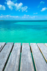 Fototapeta premium tropikalna plaża