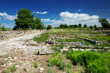 Fototapeta na wymiar Ancient ruins in Dion, Greece.