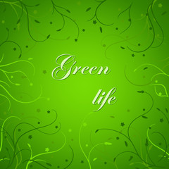 Fototapeta premium Eco card with thin stems on green background