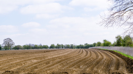 Fototapeta na wymiar Landscape view of Ploughed farmland in England, UK