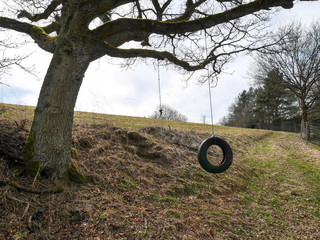 Baum Schaukel 