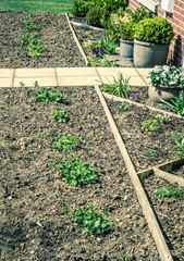 Flower beds and plant pots in early spring