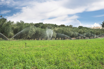 Irrigation systems