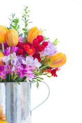 freesia and tulip flowers