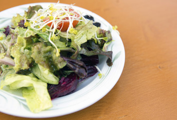 plate with green salad