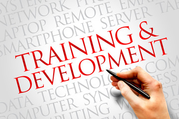 Training and Development word cloud concept