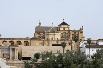Fototapeta na wymiar Cordoba - Spain, Cathedral, La Mezquita Cathedral
