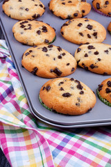 chocolate chip muffins