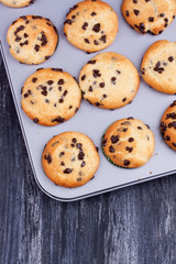 chocolate chip muffins
