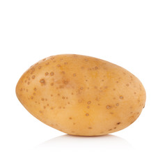 potato on white background