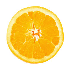 Orange on a white background