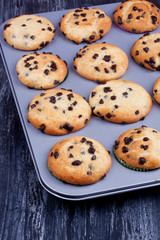 chocolate chip muffins