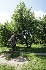 Fototapeta premium Apple orchard in the estate of Kolomenskoye
